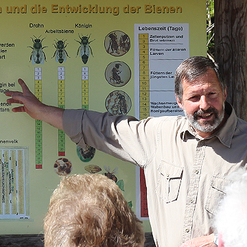 Interessantes über das Leben der Bienen