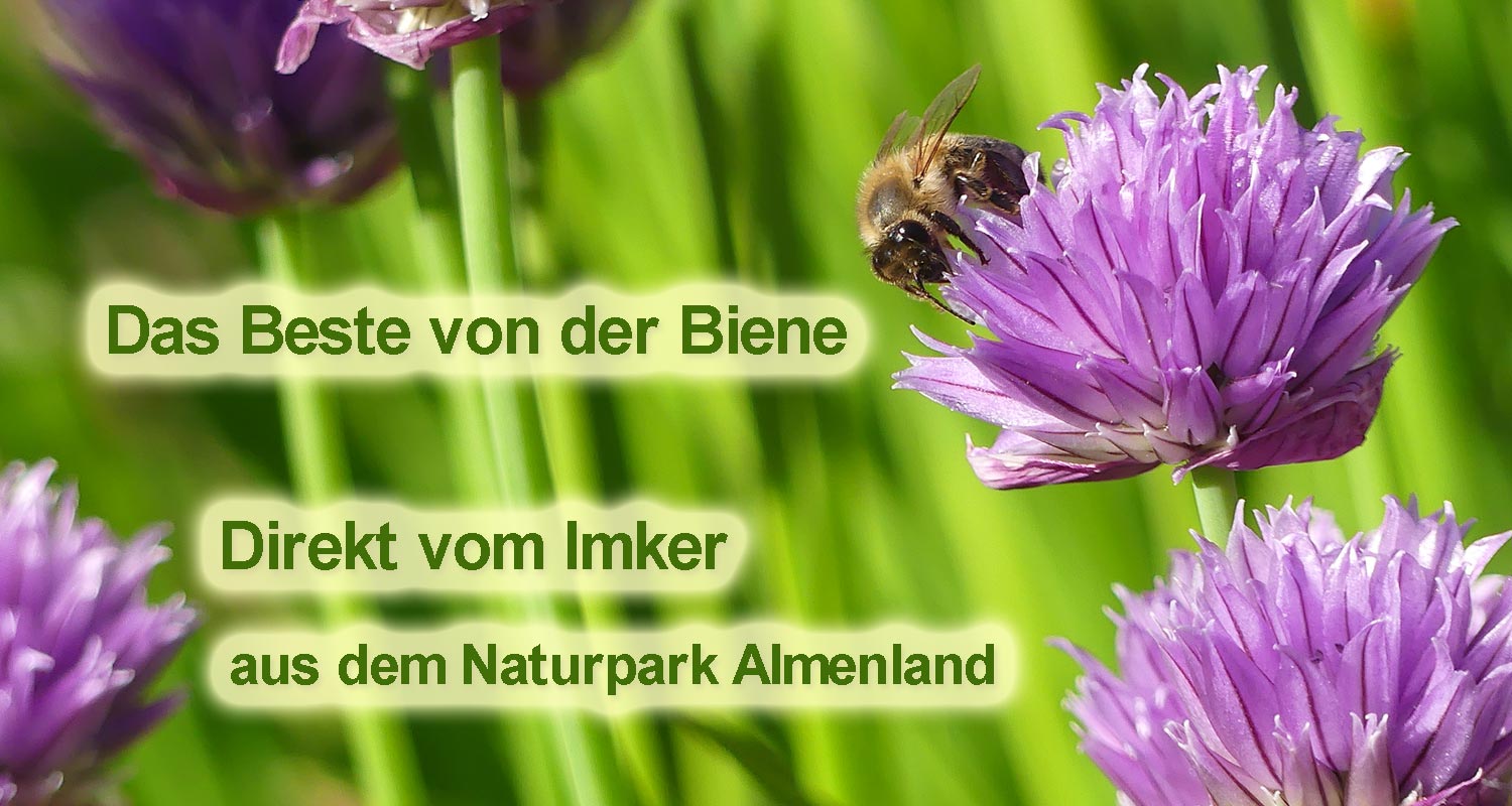 imker Bienen auf Blüte